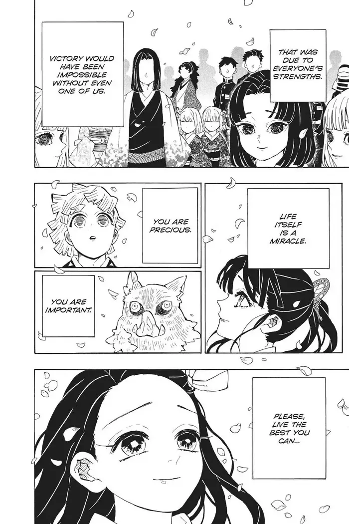 Demon Slayer Chapter 205 image 41_optimized